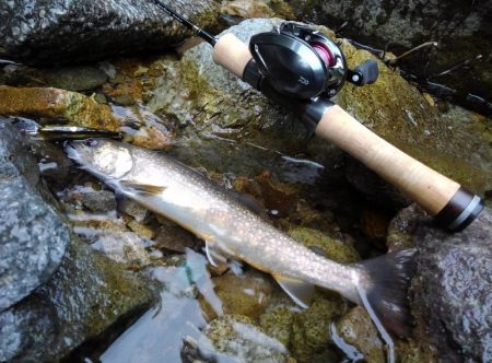 渓流ベイトフィネス初挑戦